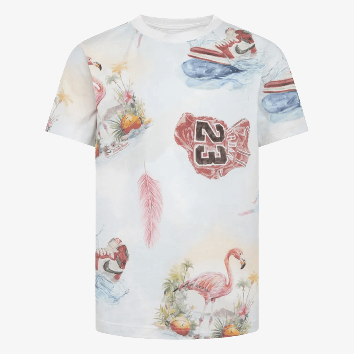 Nike T-shirt Jordan Flamingo