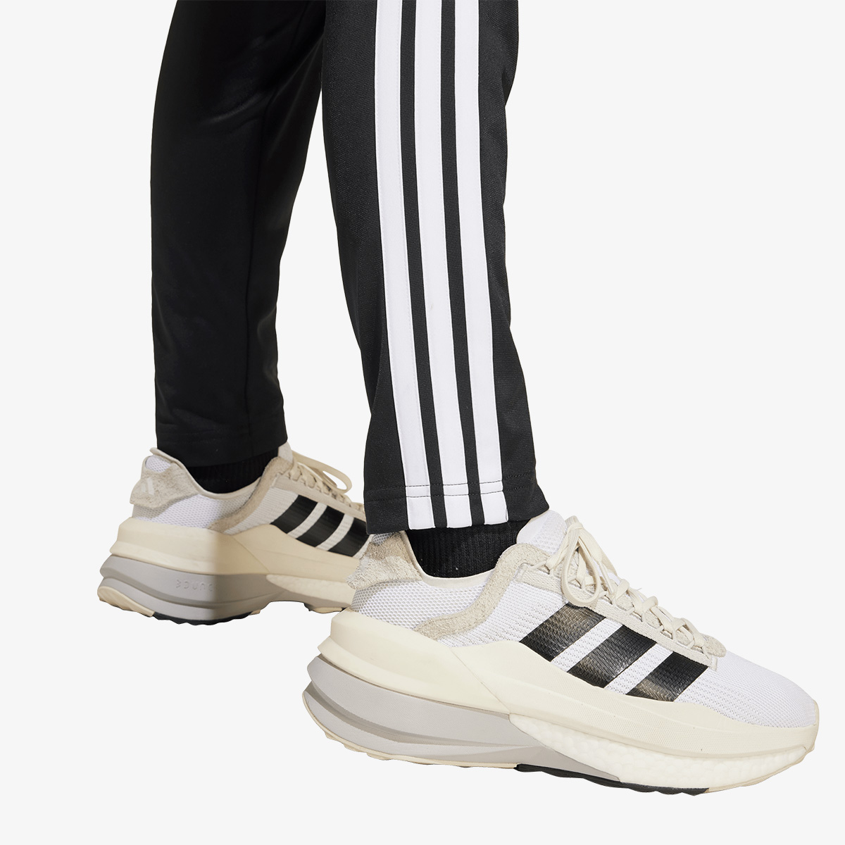 adidas 3 Stripes Tiberio