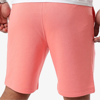 Champion Bermuda 