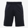 Champion Bermuda 