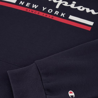 Champion Hooded Sweatshirt 