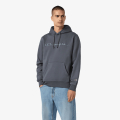 Champion Hooded Sweatshirt 