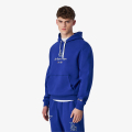 Champion Hooded Sweatshirt 