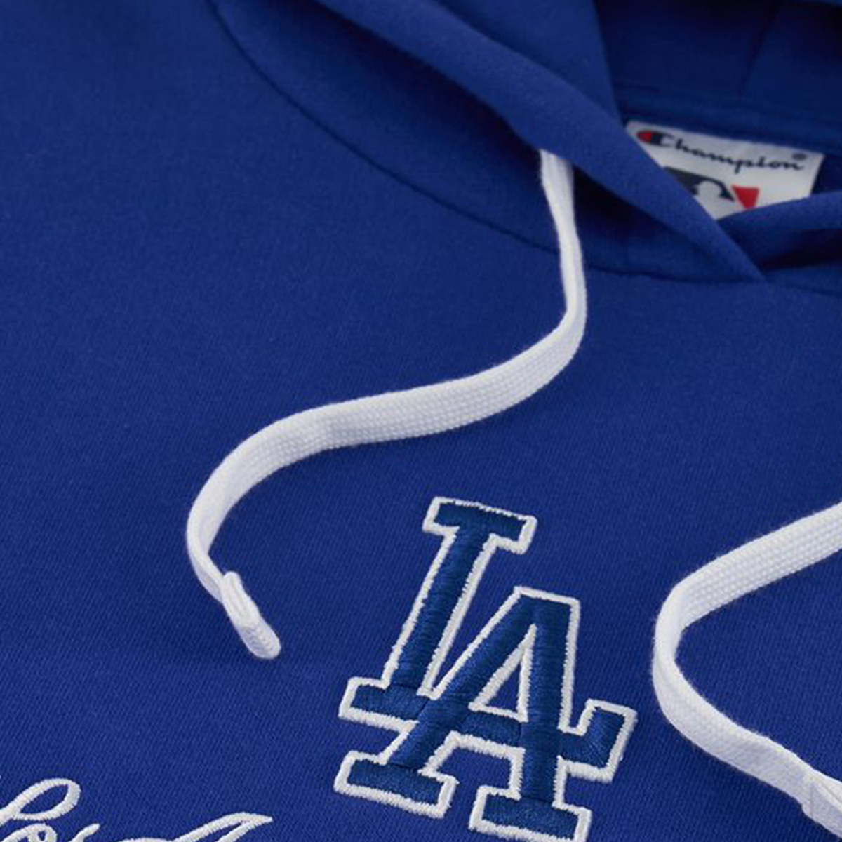 Champion Hooded Sweatshirt 