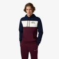 Champion Hooded Sweatshirt 