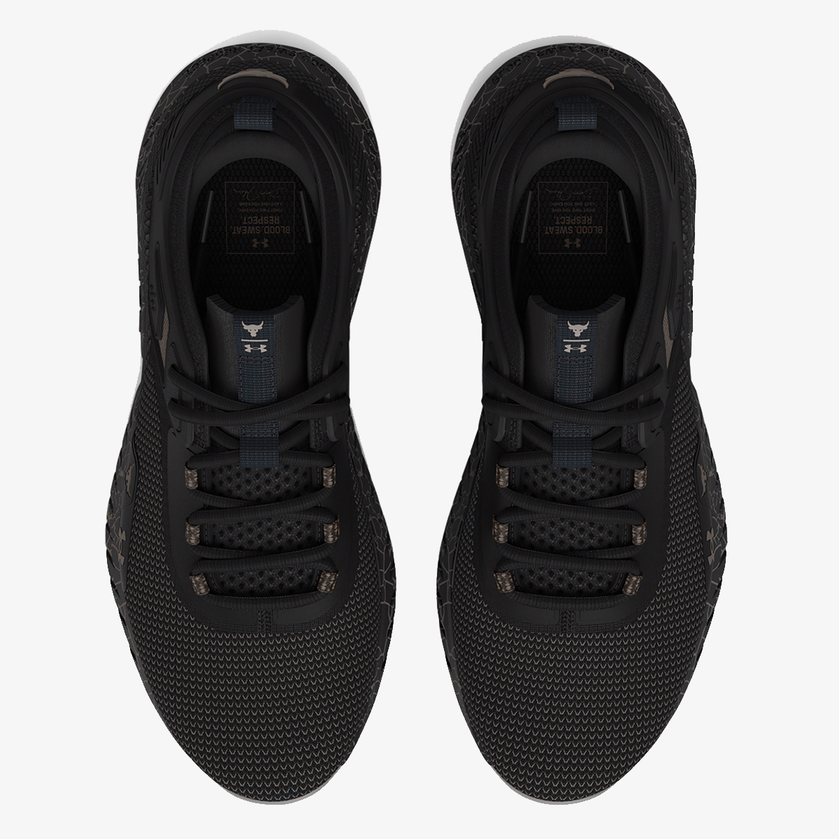 Under Armour Project Rock 5 