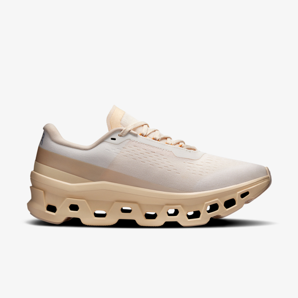 On Cloudmonster 1 