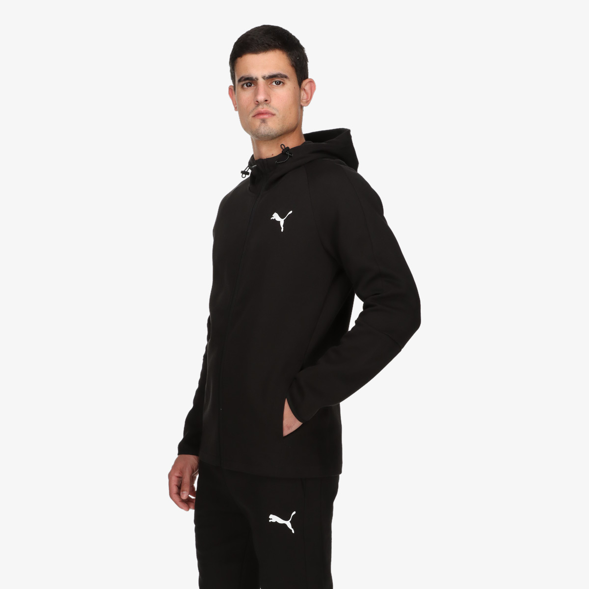 Puma PUMA EVOSTRIPE Core FZ Hoodie 