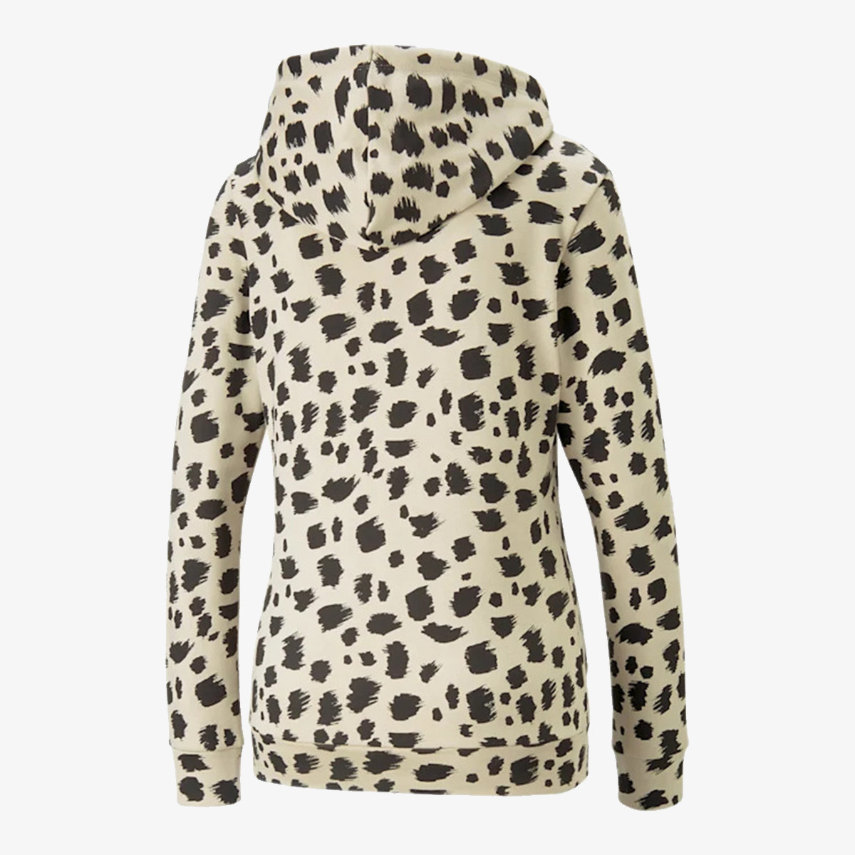 Puma Animal 