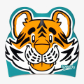 Speedo PRINTED CHARACTER CAP IU LTS ORANGE/GREE 