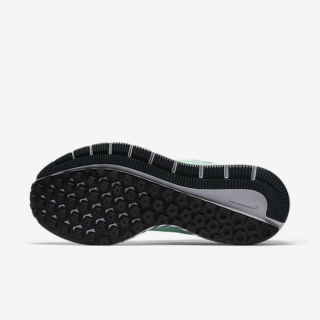 Nike W AIR ZOOM STRUCTURE 20 SHIELD 