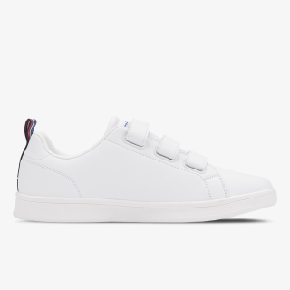 Champion Calico V 
