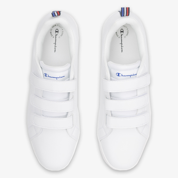Champion Calico V 