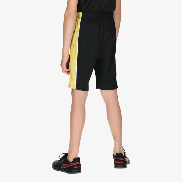 Nike Dri-Fit Academy 