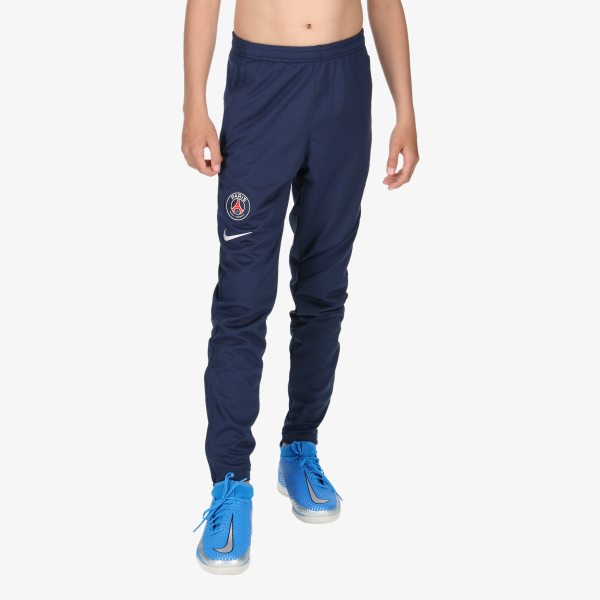 Nike Paris Saint-Germain Academy Pro 