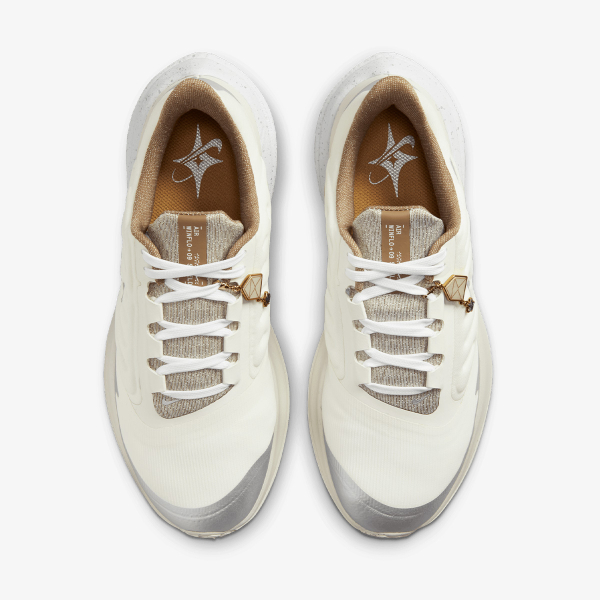 Nike WMNS NIKE AIR WINFLO 9 SHIELD 