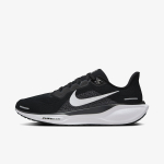 Nike Air Zoom Pegasus 41 