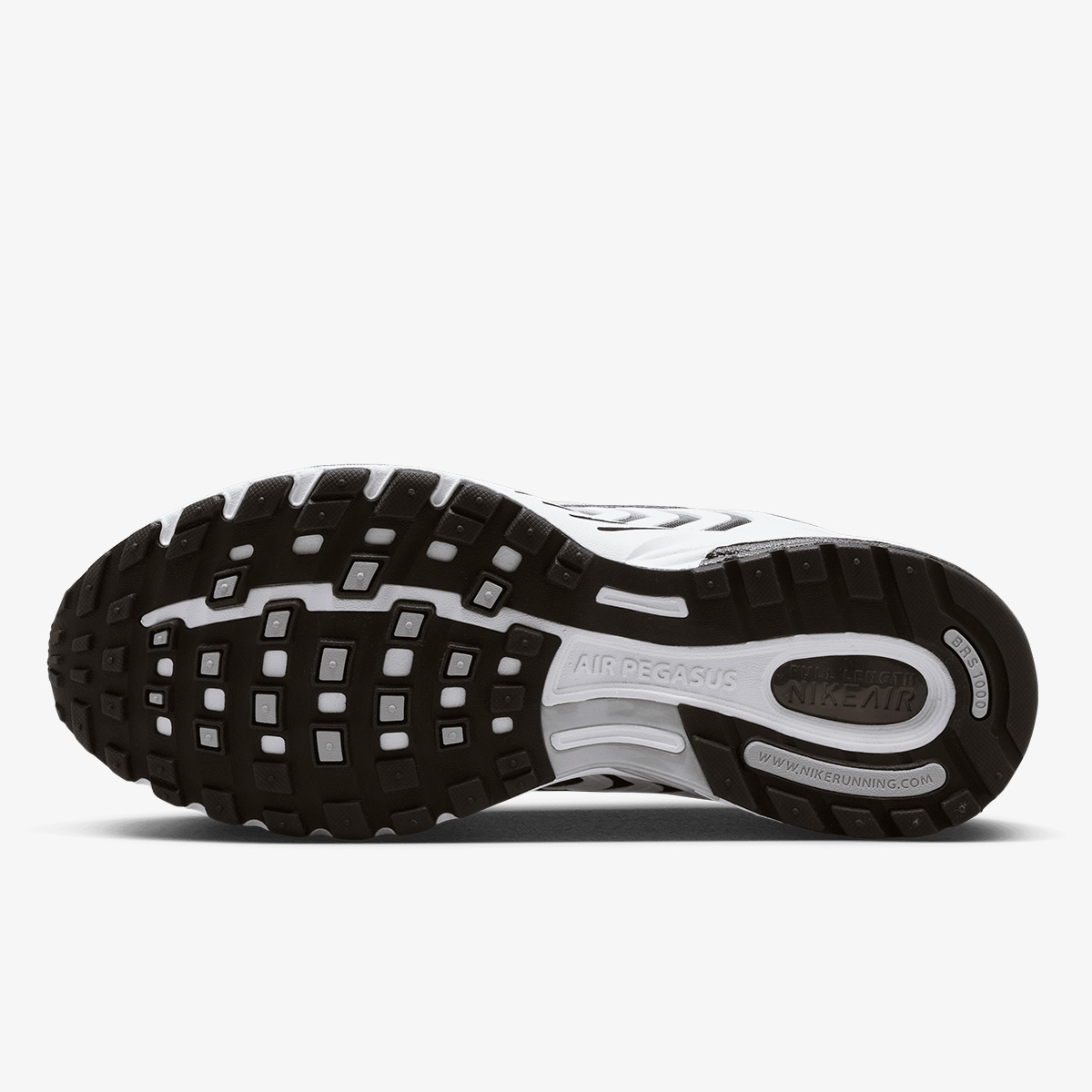 Nike Air Pegasus 2005 