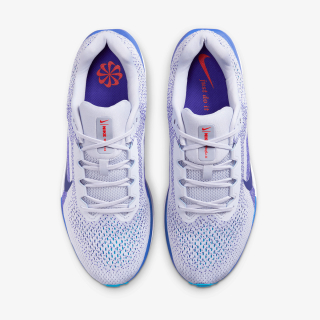 Nike NIKE AIR WINFLO 11 