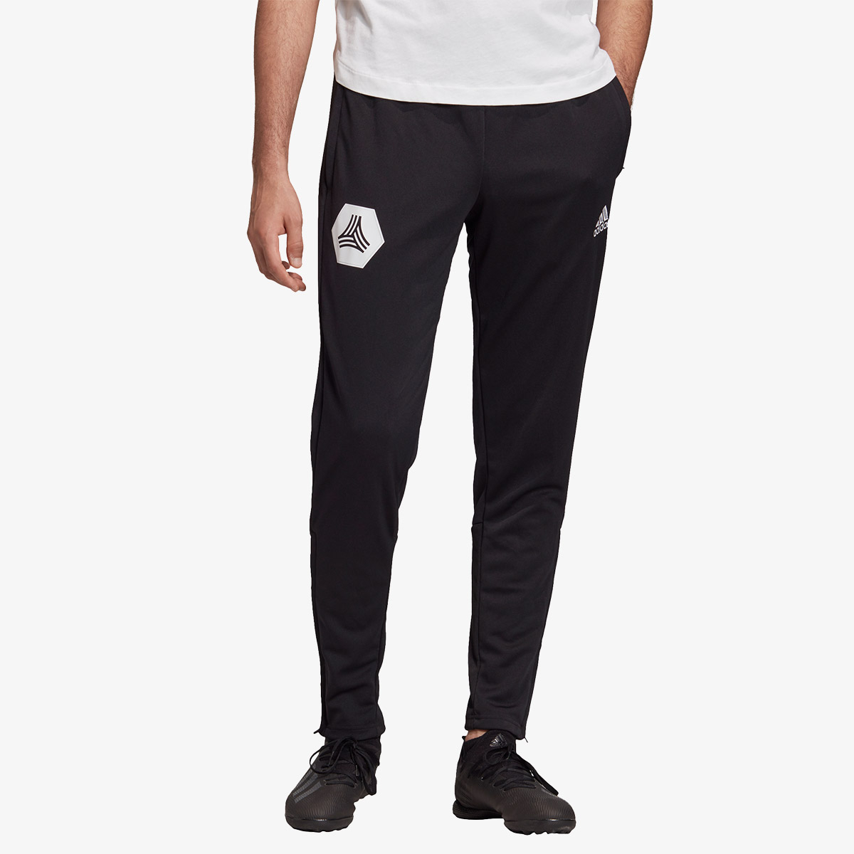 adidas TAN TR PANT Sport Vision