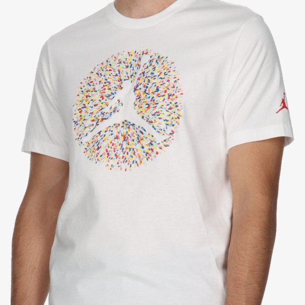 Nike M J FLT ESS POOL SS CREW 