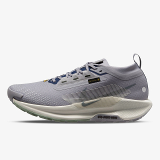Nike Pegasus Trail 5 Gore-tex 
