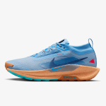Nike NIKE PEGASUS TRAIL 5 GTX 