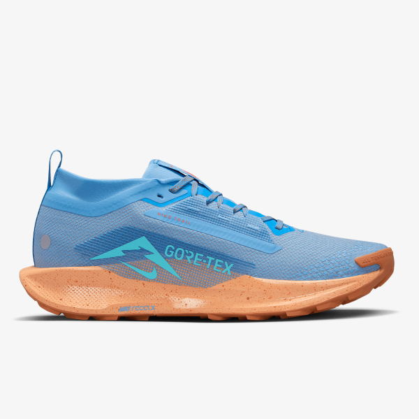 Nike NIKE PEGASUS TRAIL 5 GTX 