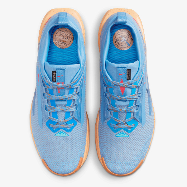 Nike NIKE PEGASUS TRAIL 5 GTX 