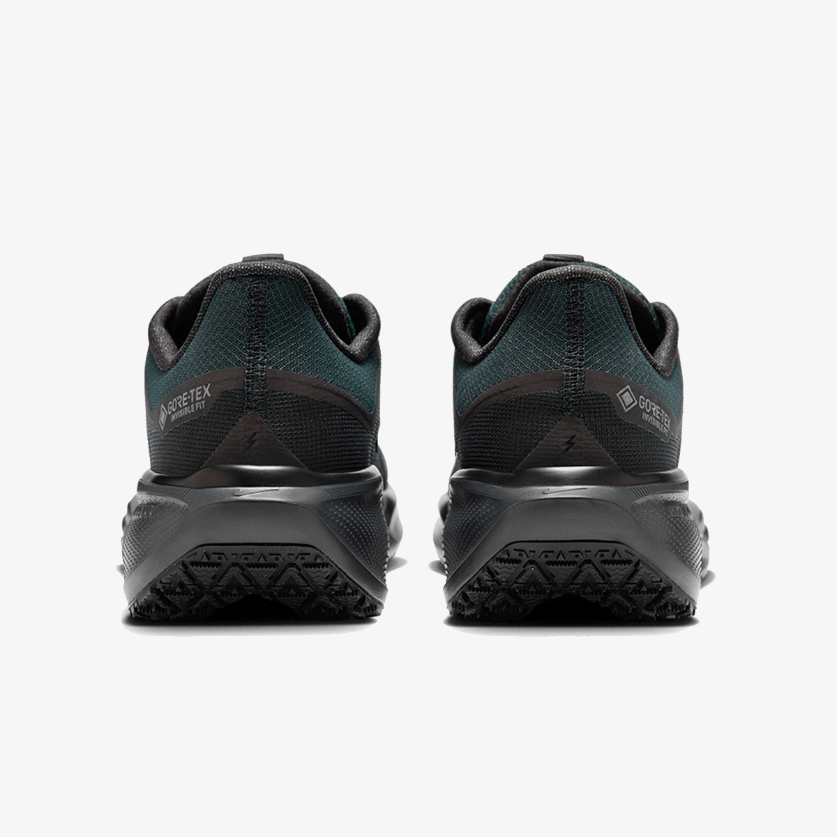 Nike AIR ZM PEGASUS 41 GTX 