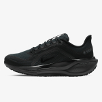 Nike AIR ZM PEGASUS 41 GTX 