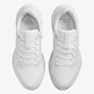 Nike AIR ZM PEGASUS 41 GTX 