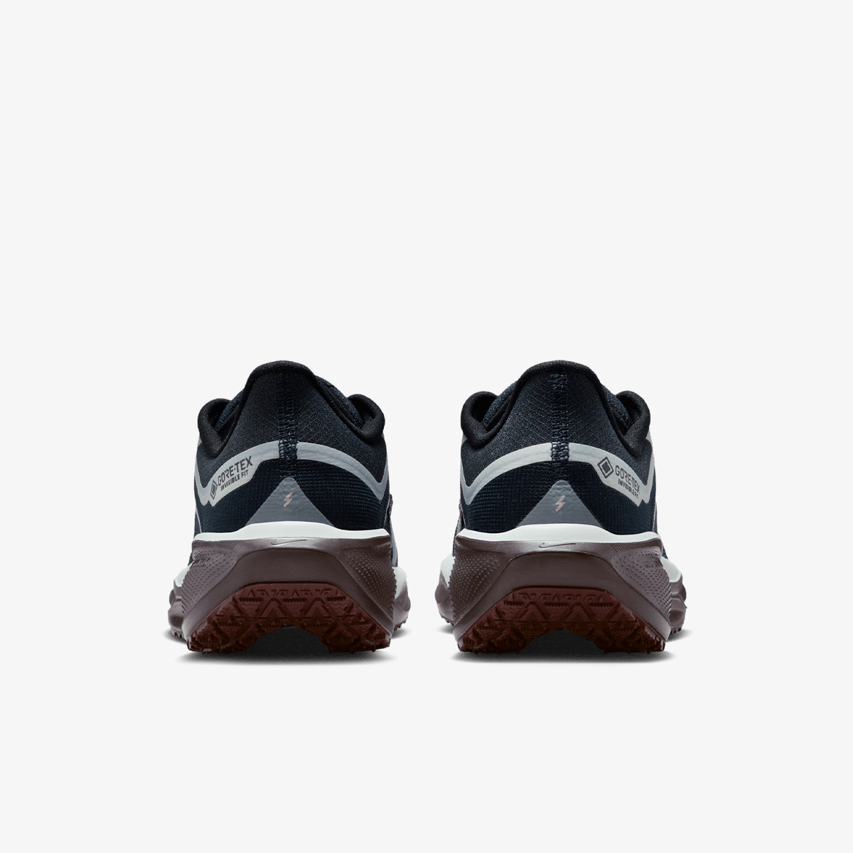 Nike W AIR ZM PEGASUS 41 GTX 