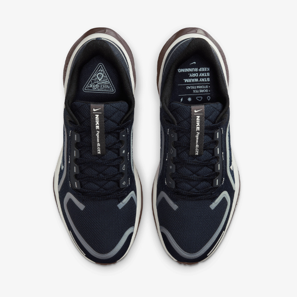 Nike W AIR ZM PEGASUS 41 GTX 