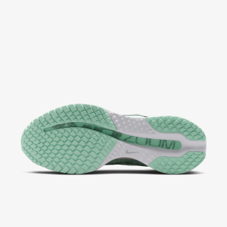 Nike W NIKE PEGASUS PREMIUM 