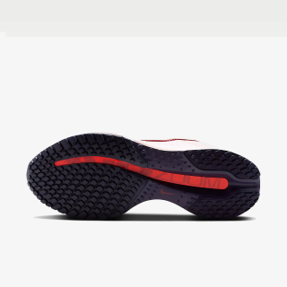 Nike W NIKE PEGASUS PREMIUM 