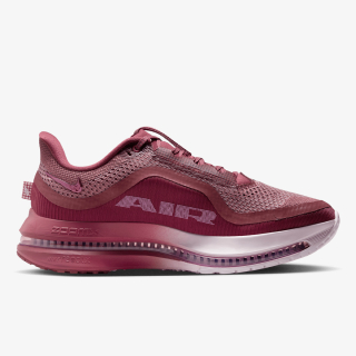 Nike W NIKE PEGASUS PREMIUM 