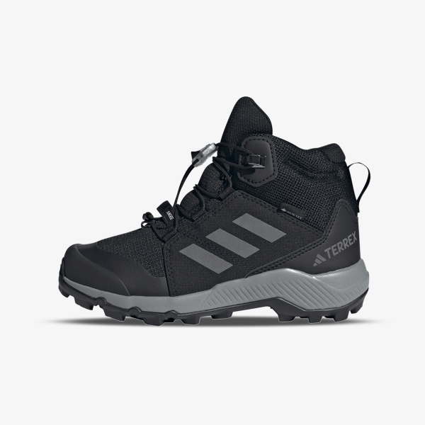 adidas Terrex GTX 