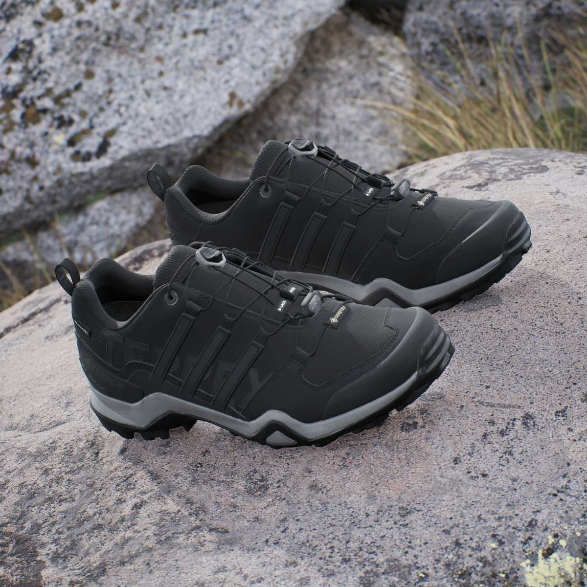 adidas TERREX SWIFT R2 GTX Sport Vision