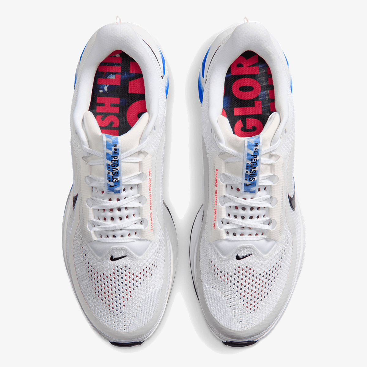 Nike NIKE PEGASUS PREMIUM CM 
