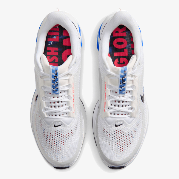 Nike NIKE PEGASUS PREMIUM CM 