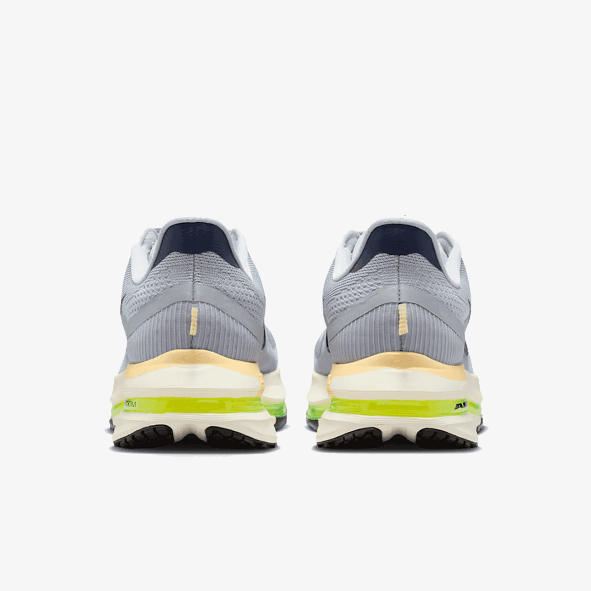 Nike NIKE PEGASUS PREMIUM HR 