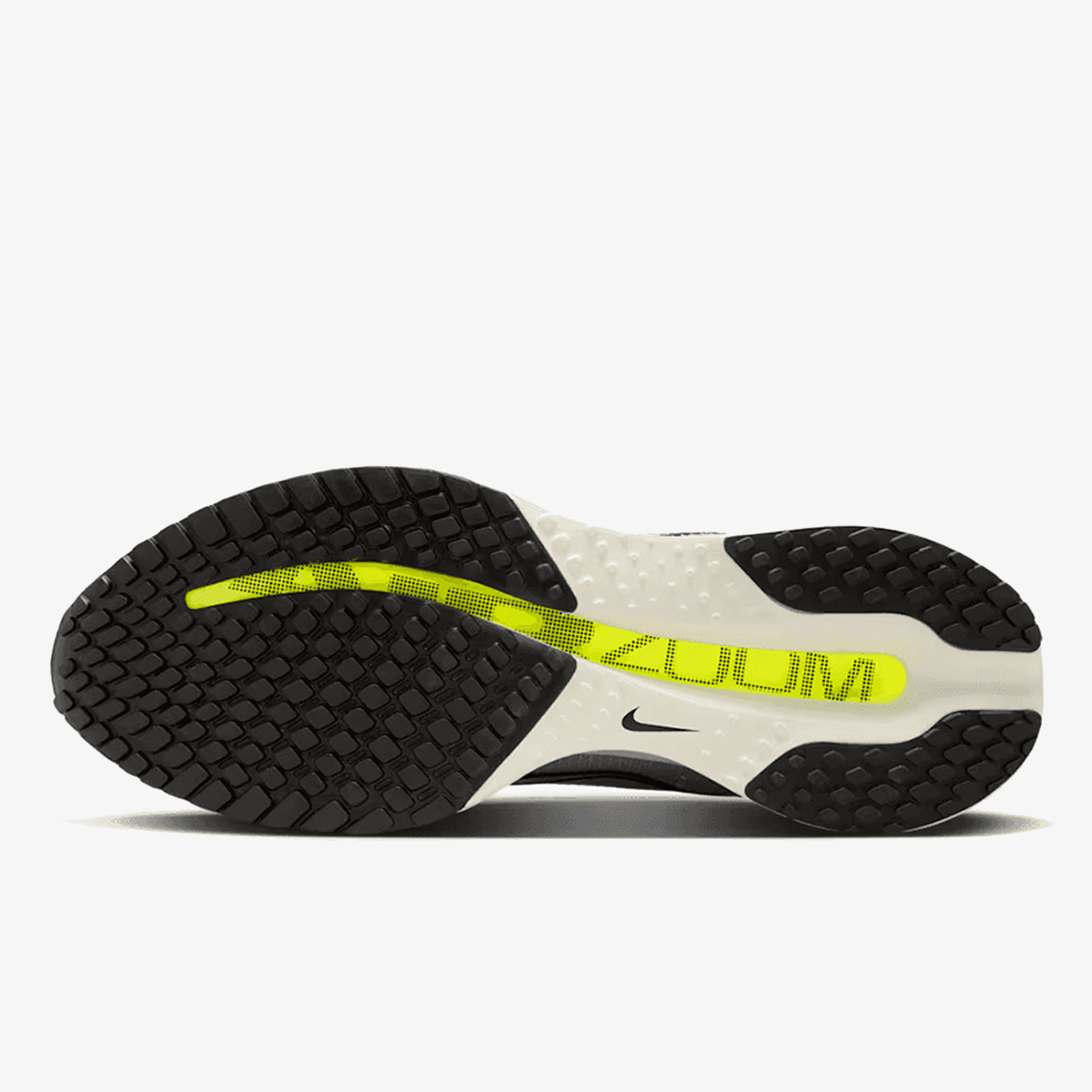 Nike NIKE PEGASUS PREMIUM HR 