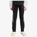 adidas LFC TR PNTY 
