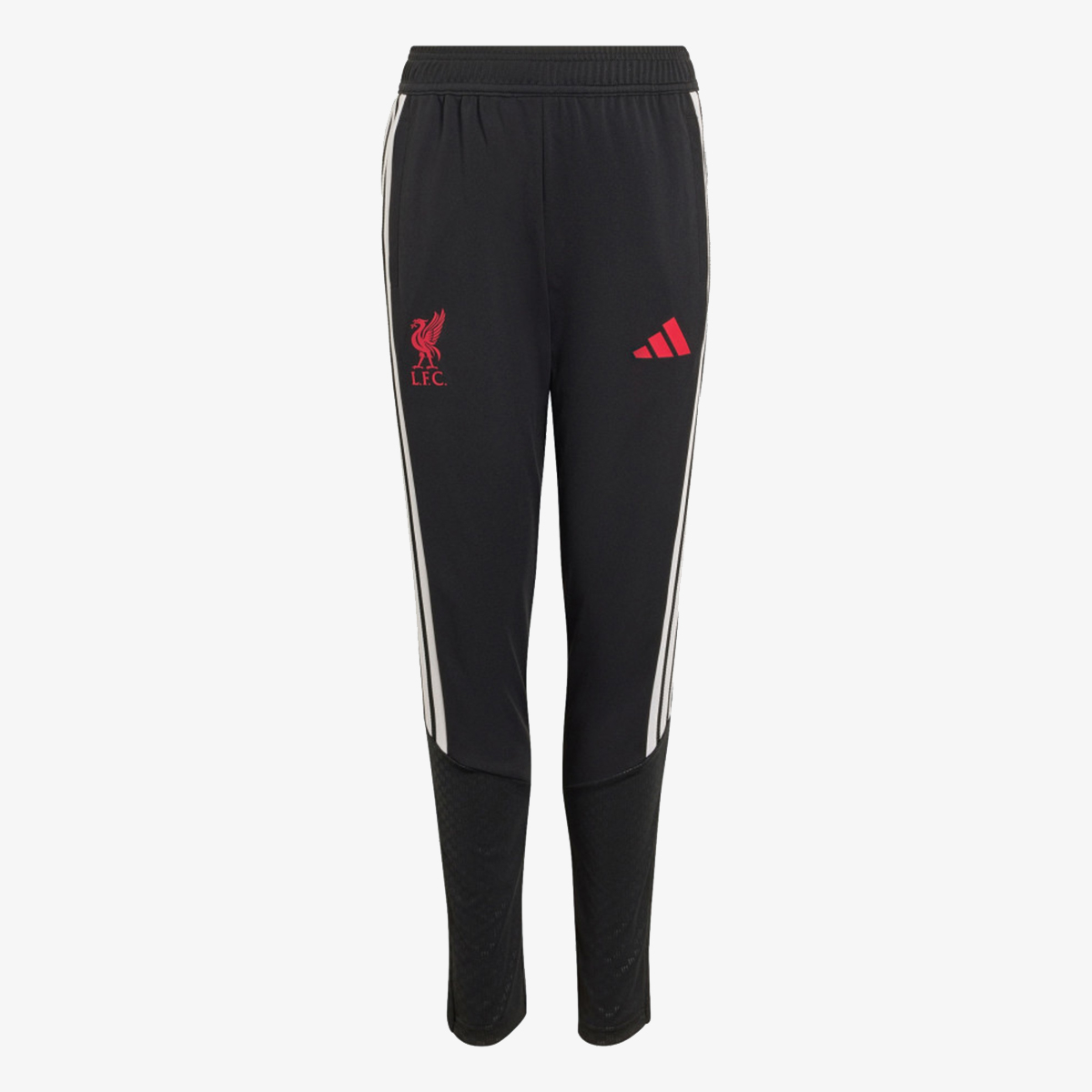 adidas LFC TR PNTY 