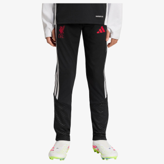 adidas LFC TR PNTY 