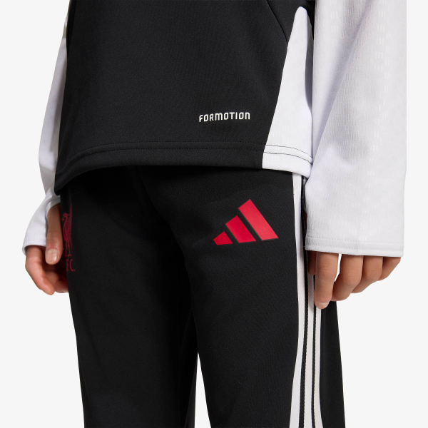 adidas LFC TR PNTY 