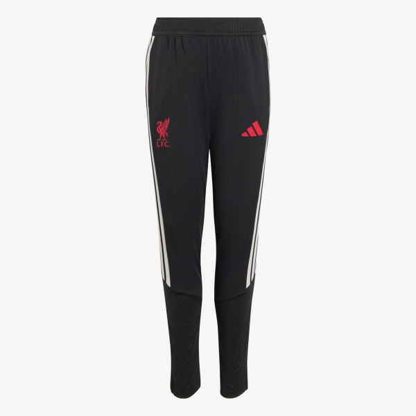 adidas LFC TR PNTY 