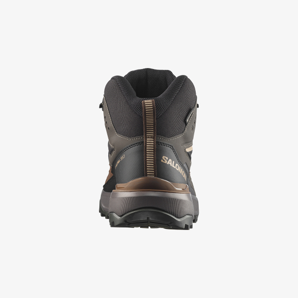 Salomon X ULTRA 360 MID GTX 