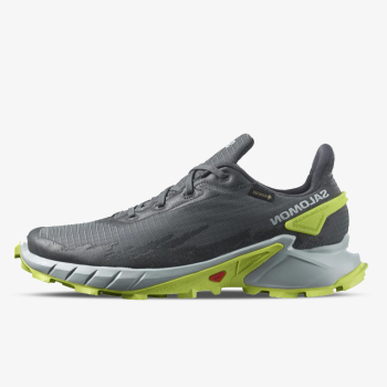 SALOMON Alphacross 4 